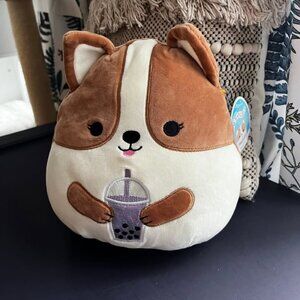 *NWT* Regina Corgi w/ Boba Squishmallow